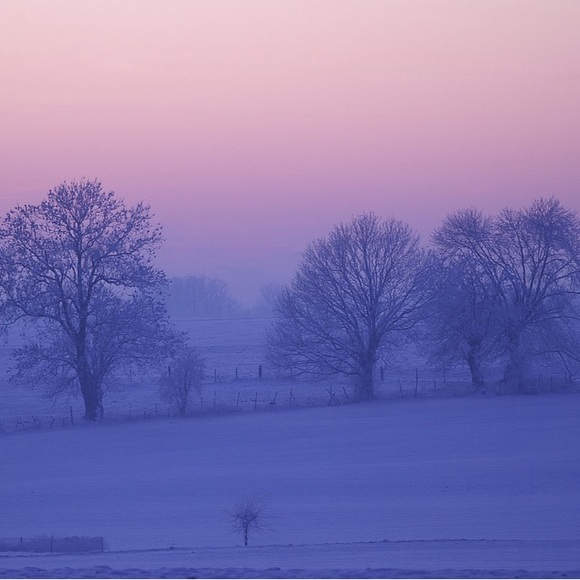 Happy Autumn into Winter!🌷 - Picture 11 of 16